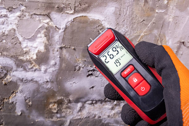 Best Mold Testing  in Narberth, PA