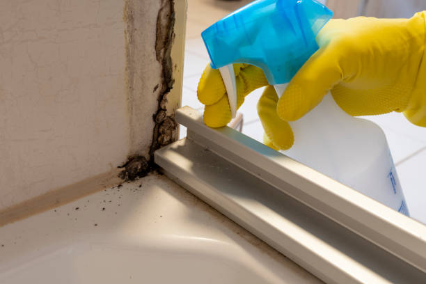 Best Commercial Mold Removal  in Narberth, PA